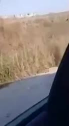 234x426