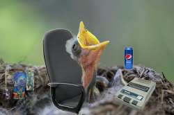 1800x1200