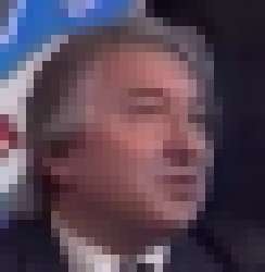 244x250