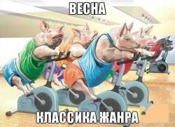 600x435