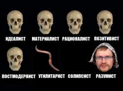 600x446