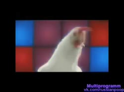 480x360