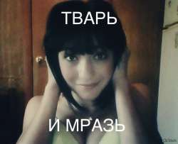 556x453