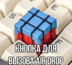 500x448