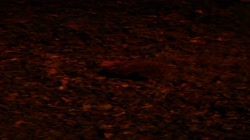 1280x720