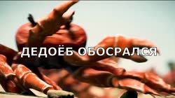 1280x720