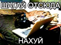604x453