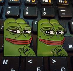 500x493