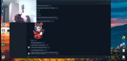 1273x619