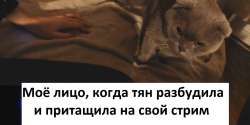 1280x641