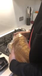 640x1136