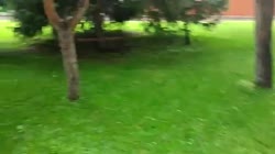 640x360