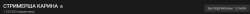 1038x61