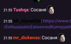 404x249