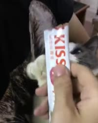 460x574