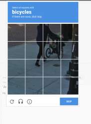 497x677