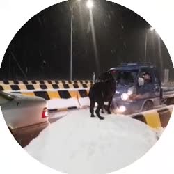 320x320