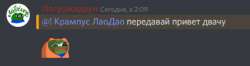 427x113