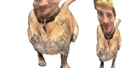 640x360