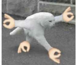 500x423