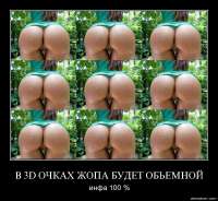 800x739