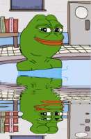 566