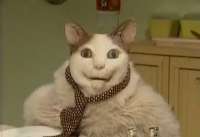 149