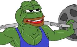 46