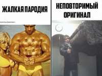 593x439