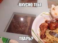 600x450