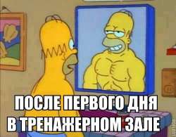 500x390