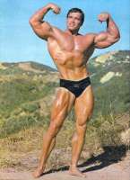 291x400
