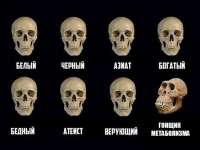 650x488