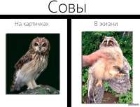 600x459