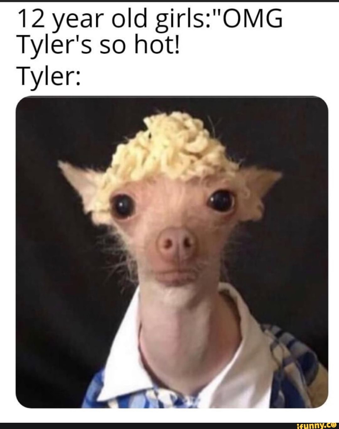 1080x1368