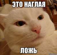 493x480