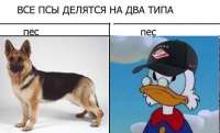 760x463