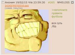 427x316