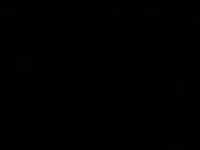 384x288