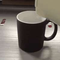360x360