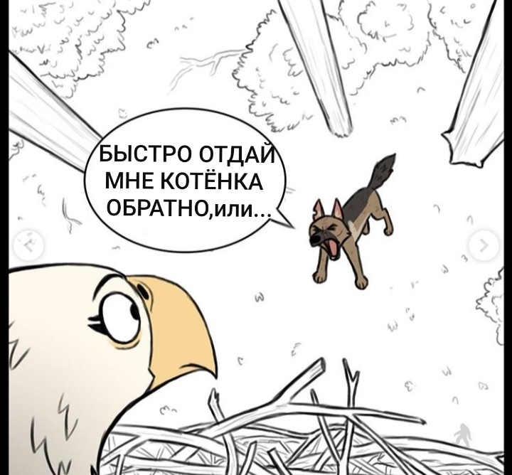 720x668