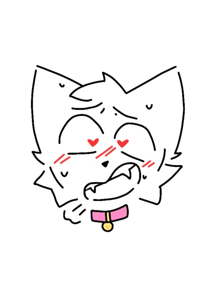 736x981