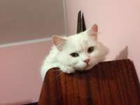 175