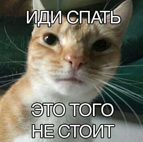 500x498