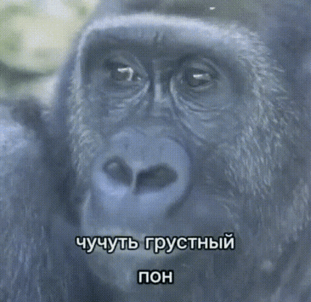 640x622