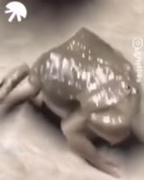 360x450
