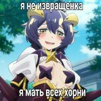 736x736