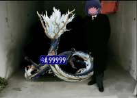 960x688