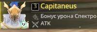 291x98