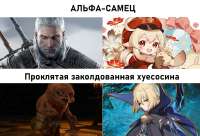1431x978
